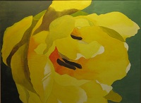 Jan Kees Korf - AC gele tulp uit Breezand
